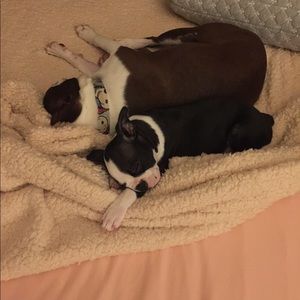 Meet your Posher, Christi